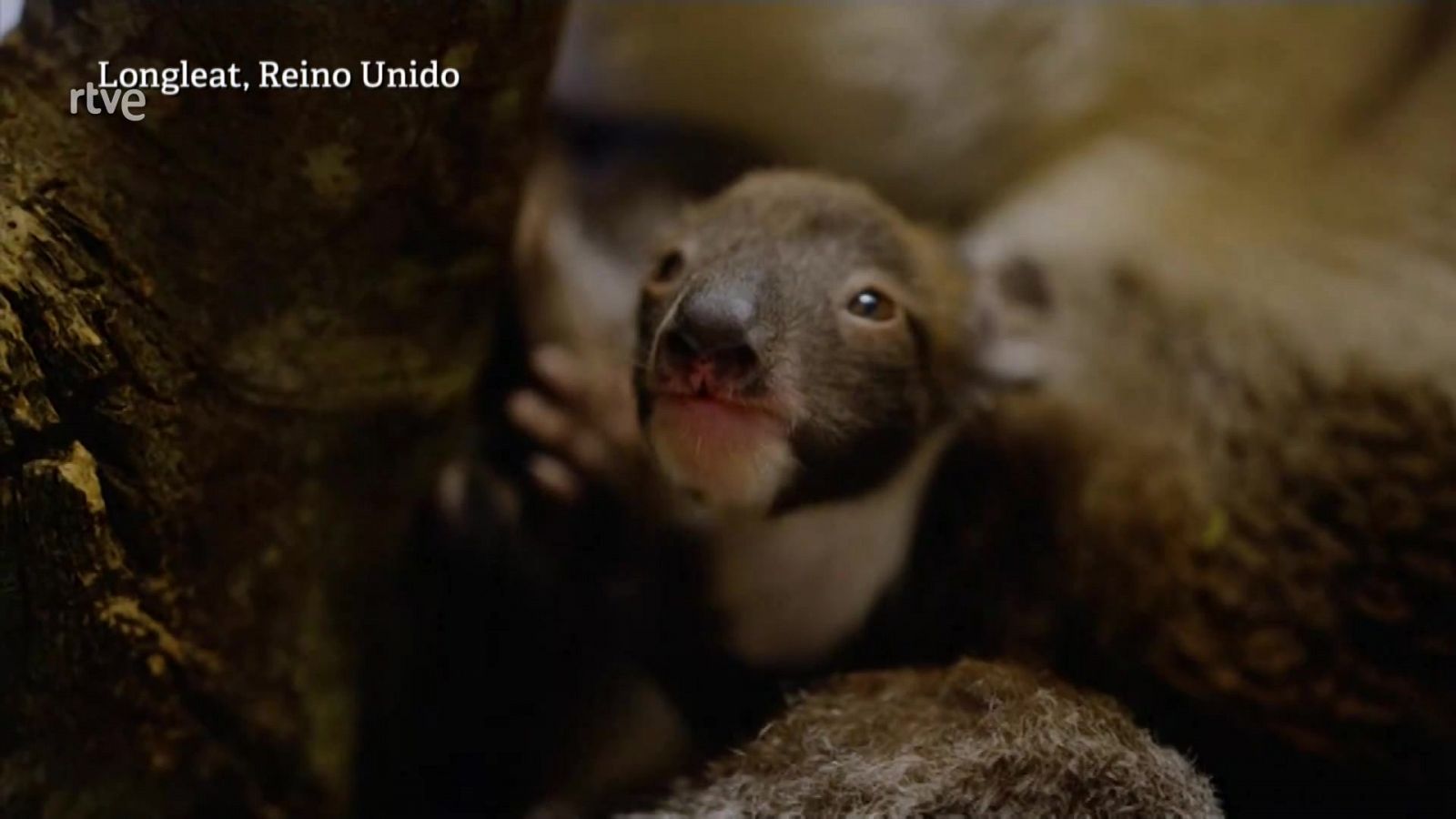Aquí la Tierra - 07/02/22 - ver ahora