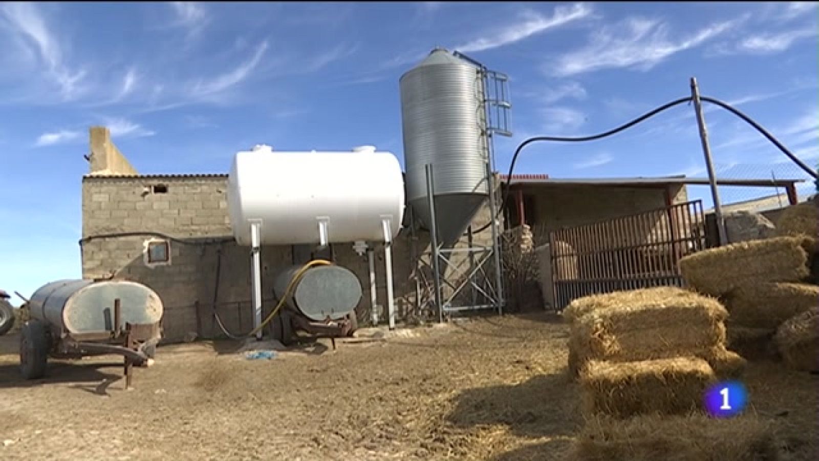 Situación límite por sequía en el campo