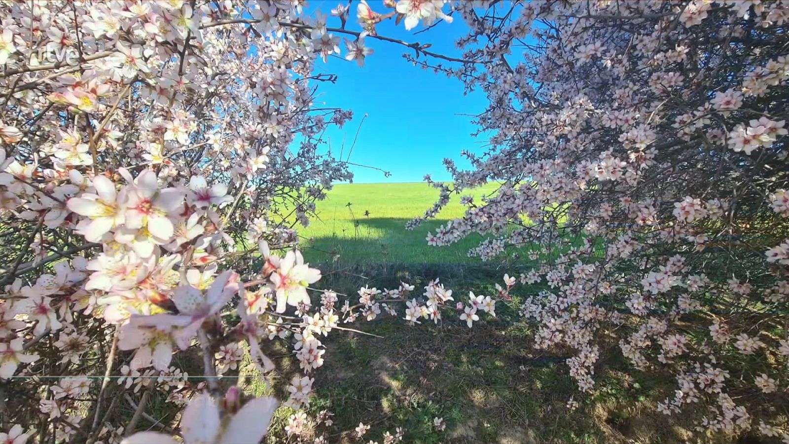 Viento fuerte de levante en el Estrecho, e intervalos de fuerte en el Ampurdán, este de Baleares, litoral de Andalucía oriental y Canarias - ver ahora