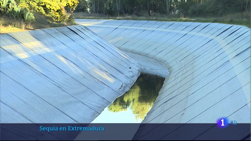 Sequía en Extremadura - 08/02/2022