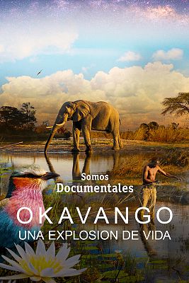Okavango, una explosión de vida