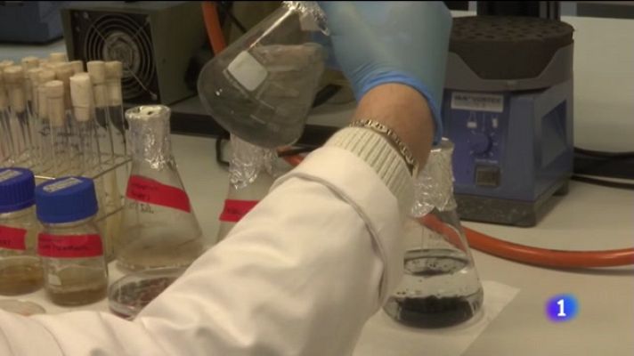 Noticias Andalucía - Cóctel de gusanos e insectos comen plástico