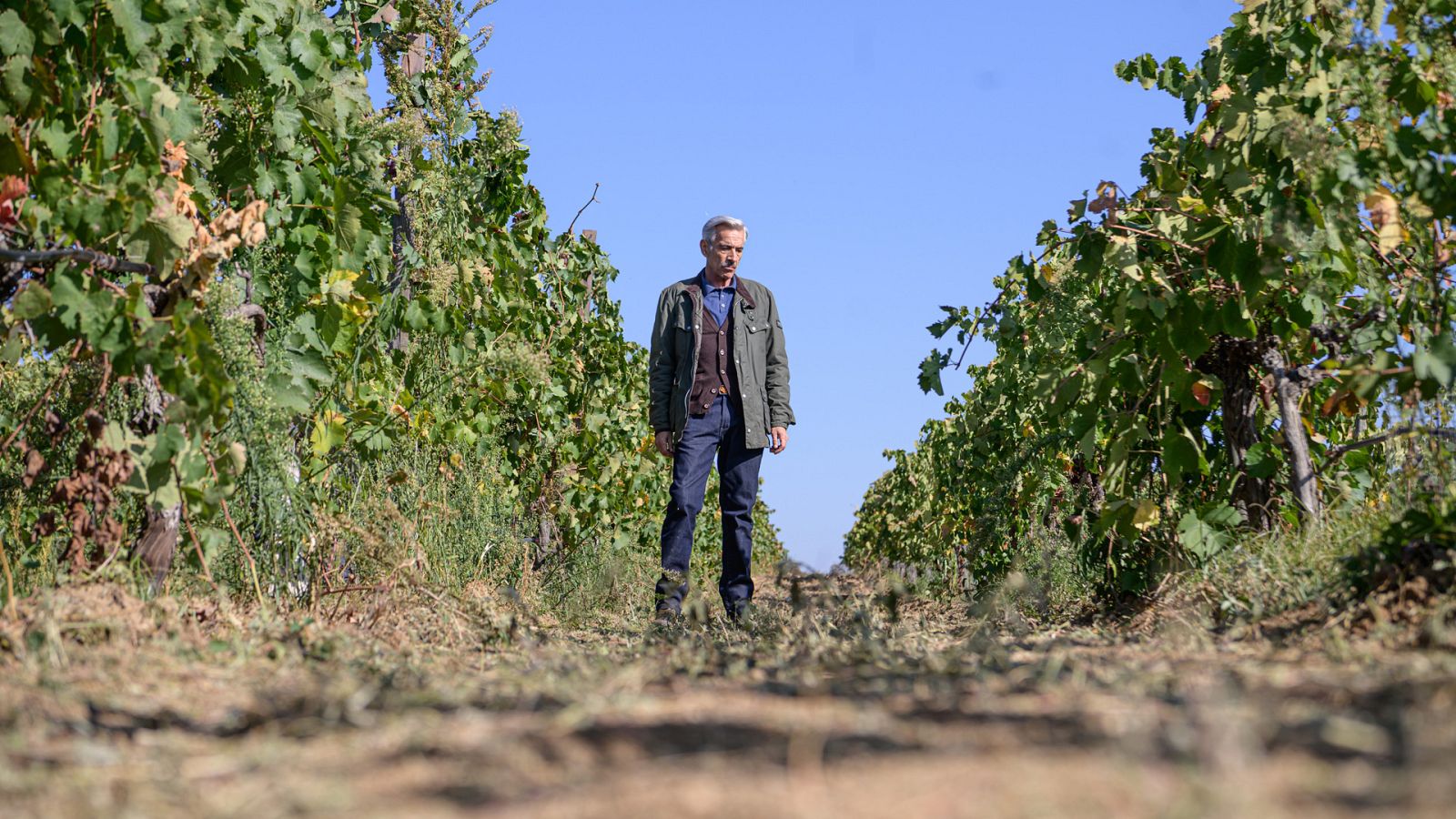 Cuéntame cómo pasó - T22 - Episodio 3: Ratones - Ver ahora