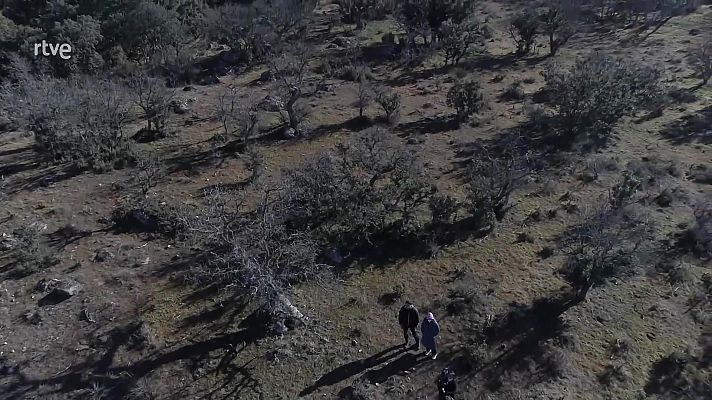 España Directo - España Directo - 09/02/22