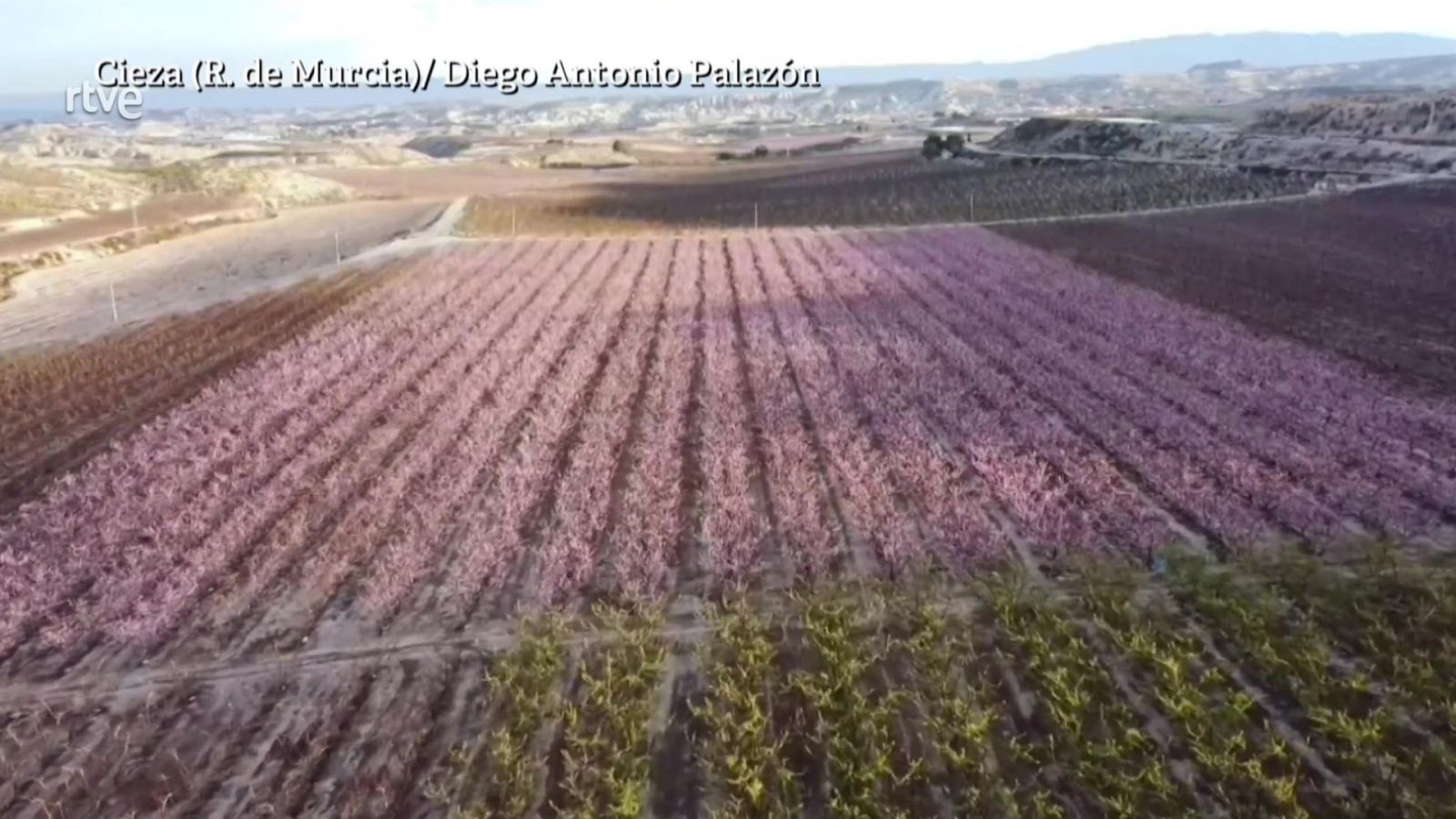 Aquí la Tierra - 09/02/22 - ver ahora