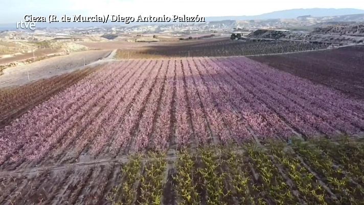 Aquí la Tierra - Aquí la Tierra - 09/02/22