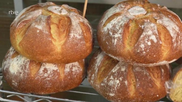 Aquí la Tierra - Pan artesanal con trigos recuperados