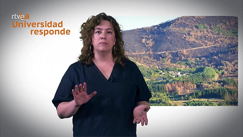 La aventura del saber -  ¿Con qué especies hay que repoblar después de un incendio? - ver ahora