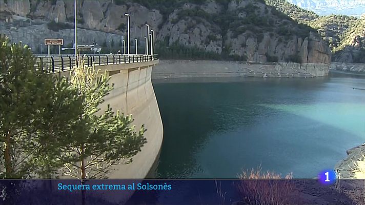 Sequera extrema al Solsonès