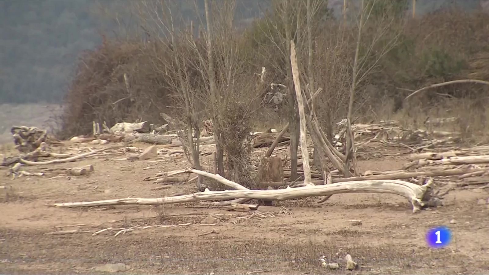 Les reserves d'aigua s'apropen al 50%