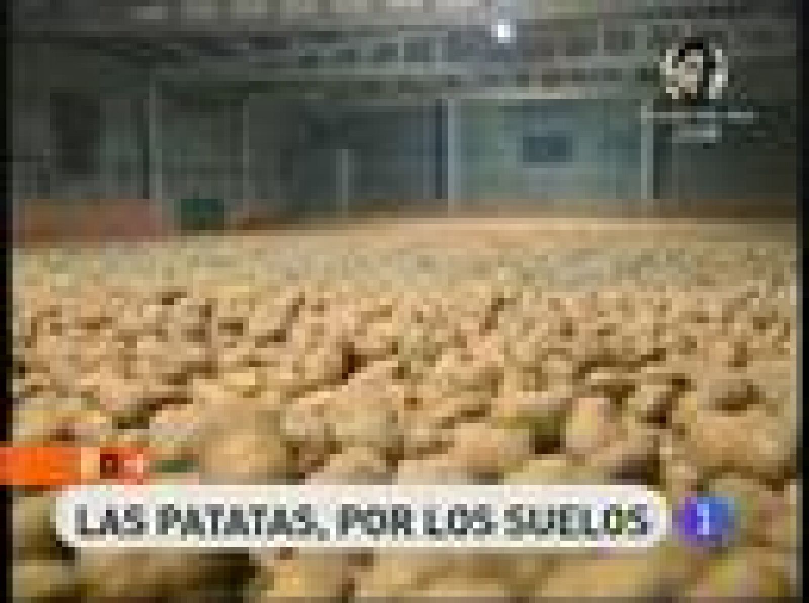 España Directo: Montañas de patatas | RTVE Play