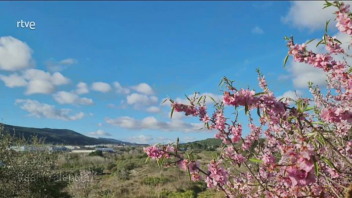 Intervalos de viento fuerte en el litoral Cantábrico. Precipitaciones localmente persistentes en el extremo oriental del Cantábrico y norte de Navarra