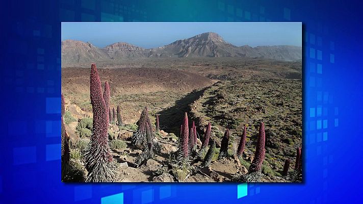 Saber y ganar - Saber y ganar - 18/02/22