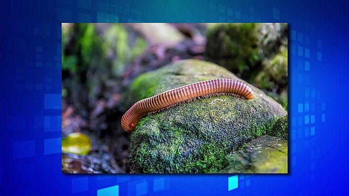 Saber y ganar - Saber y ganar. Edición de fin de semana - 19/02/22