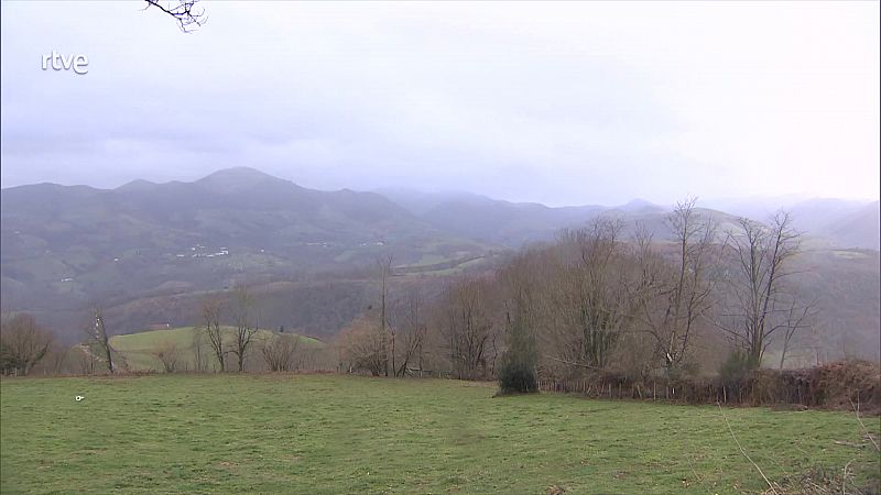 Intervalos de viento fuerte en el bajo Ebro, y en el litoral de Asturias y del norte de Galicia - ver ahora