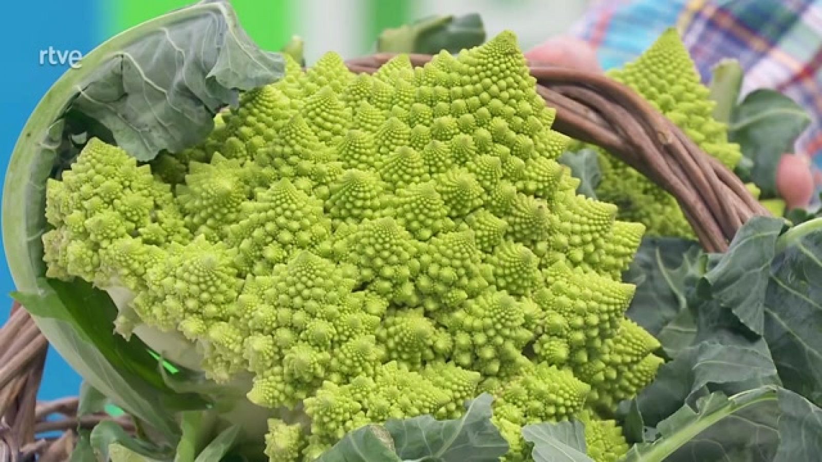 Coliflor romanesco, geometría pura