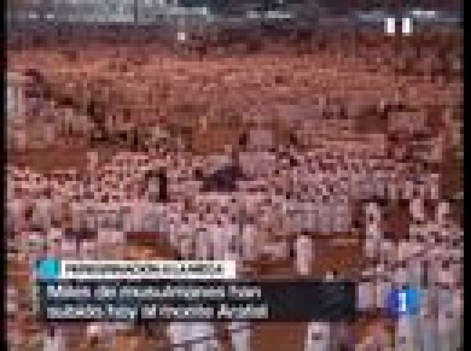 Miles de peregrinos musulmanes se reúnen en el monte Arafat, en Arabia Saudíta | Ver