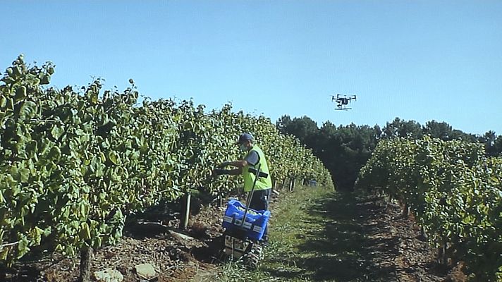 Noticias Andalucía - Foro Transfiere se celebra en Málaga