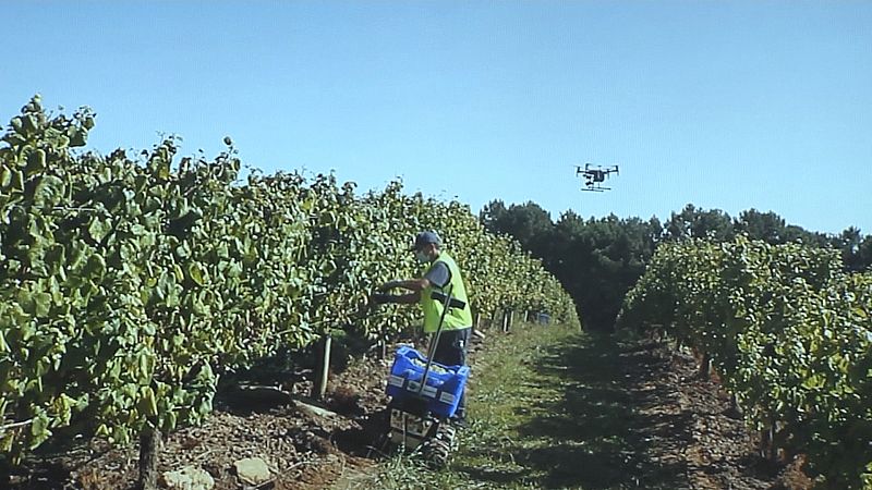 Foro Transfiere se celebra en Málaga - Ver ahora