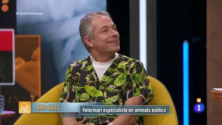 Xavi Valls, veterinari d'animals exòtics