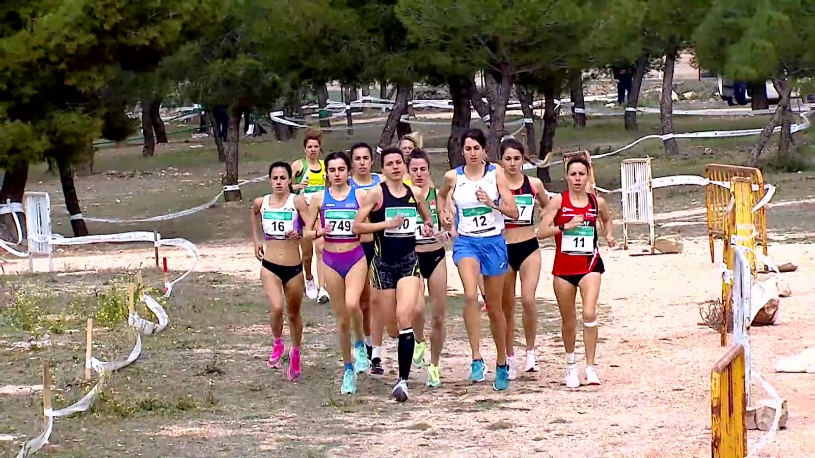 Cross - Cross nacional castellano-manchego de Quintanar - RTVE Play - Cross | Ver