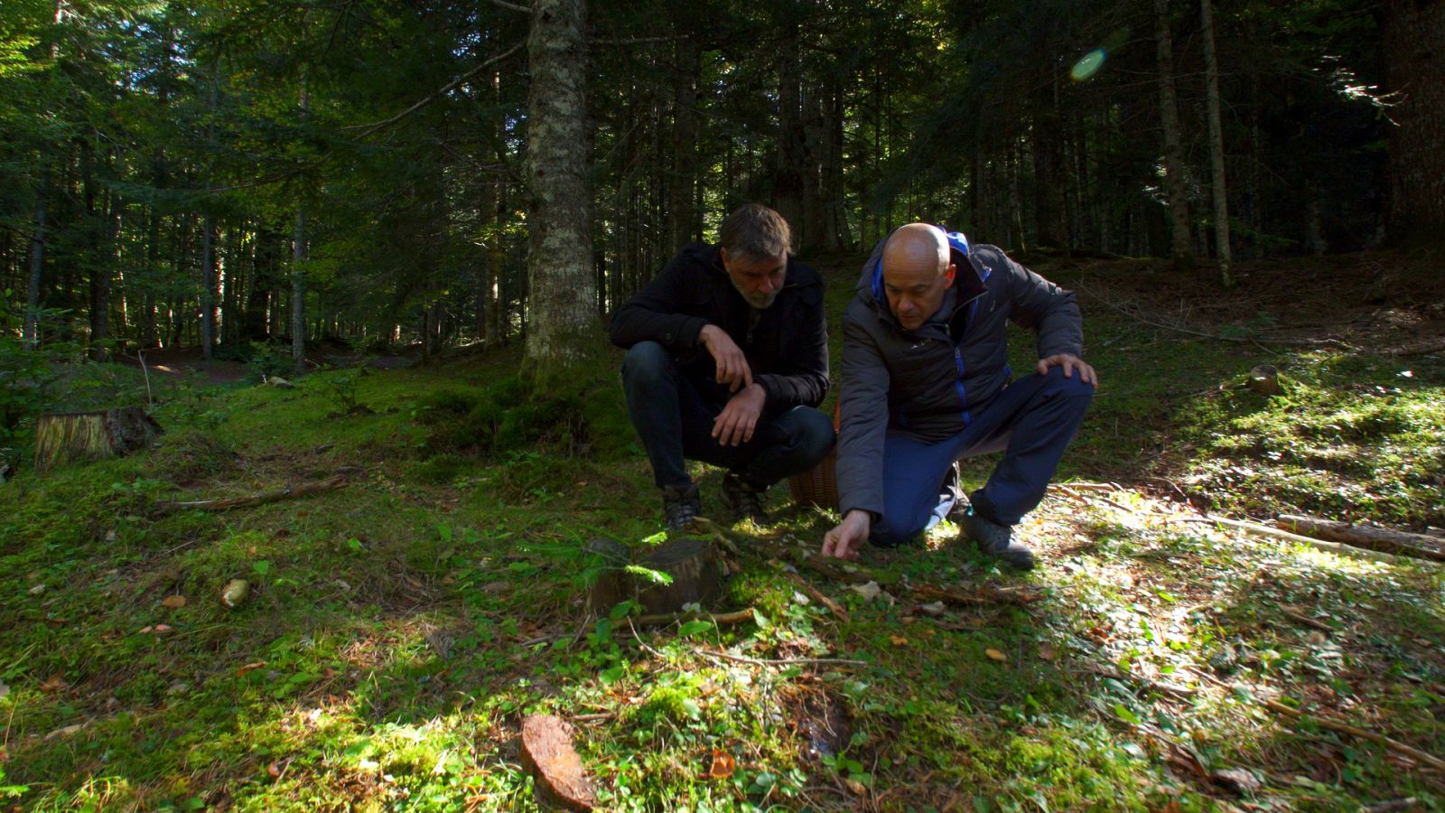 El señor de los bosques - Valle de hecho - ver ahora