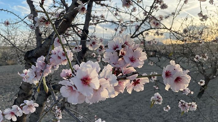 España Directo - España Directo - 18/02/22