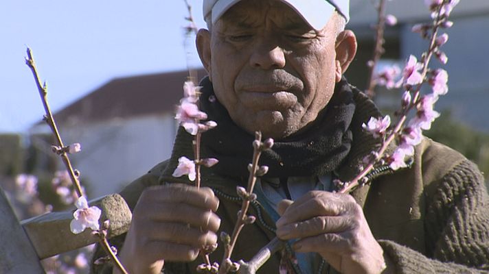 Agrosfera - Agrosfera - 19/02/22