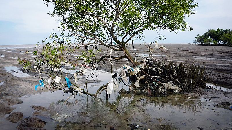 La noche temátuca - El mito del reciclaje - ver ahora