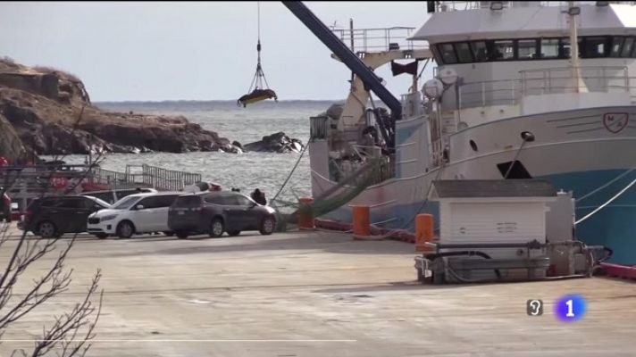 Telecanarias - Telecanarias - 20/02/2022