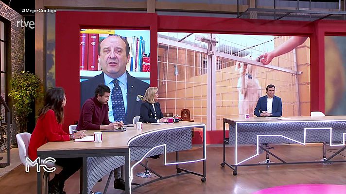 Mejor contigo - Programa 110