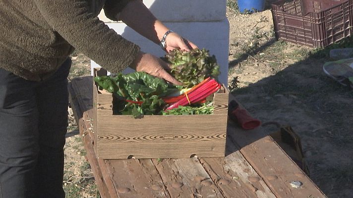 Noticias Andalucía - Sostenibilidad contra la despoblación