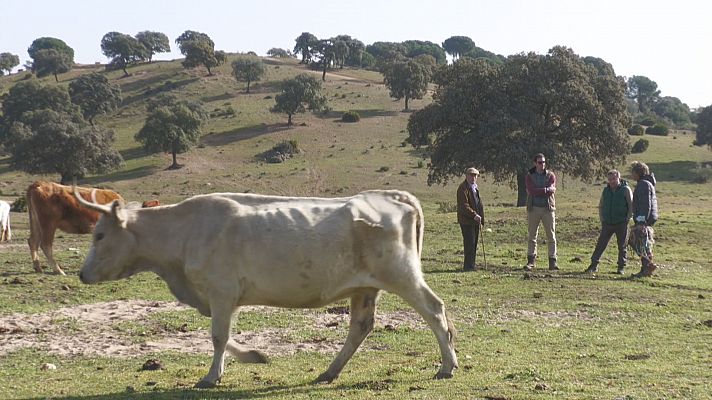 La sequía impide la siembra de forrajes