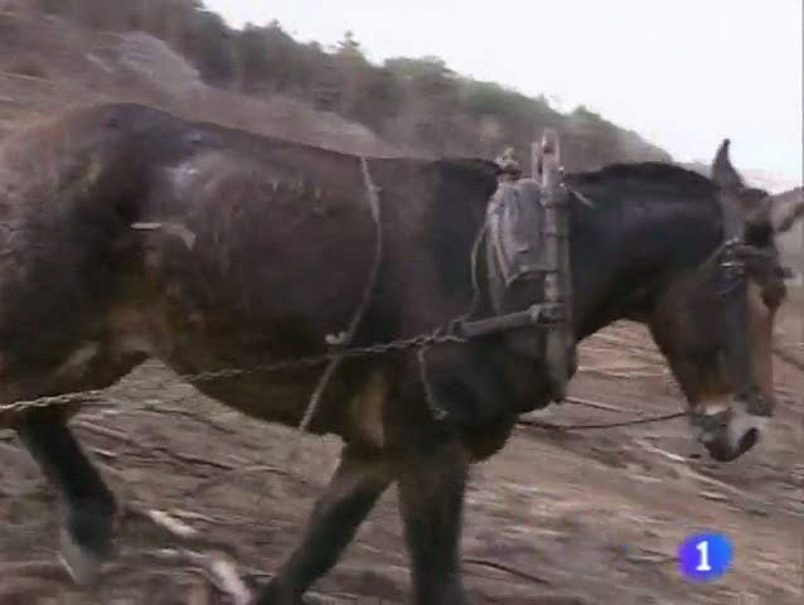 Noticias Aragón (27/11/2009)