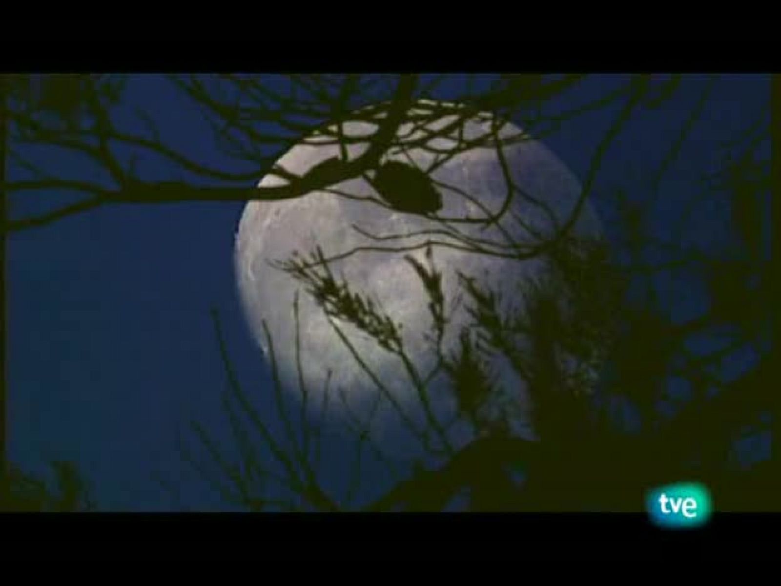 Jara y sedal - Media veda en Madrid - Jara y sedal | Ver