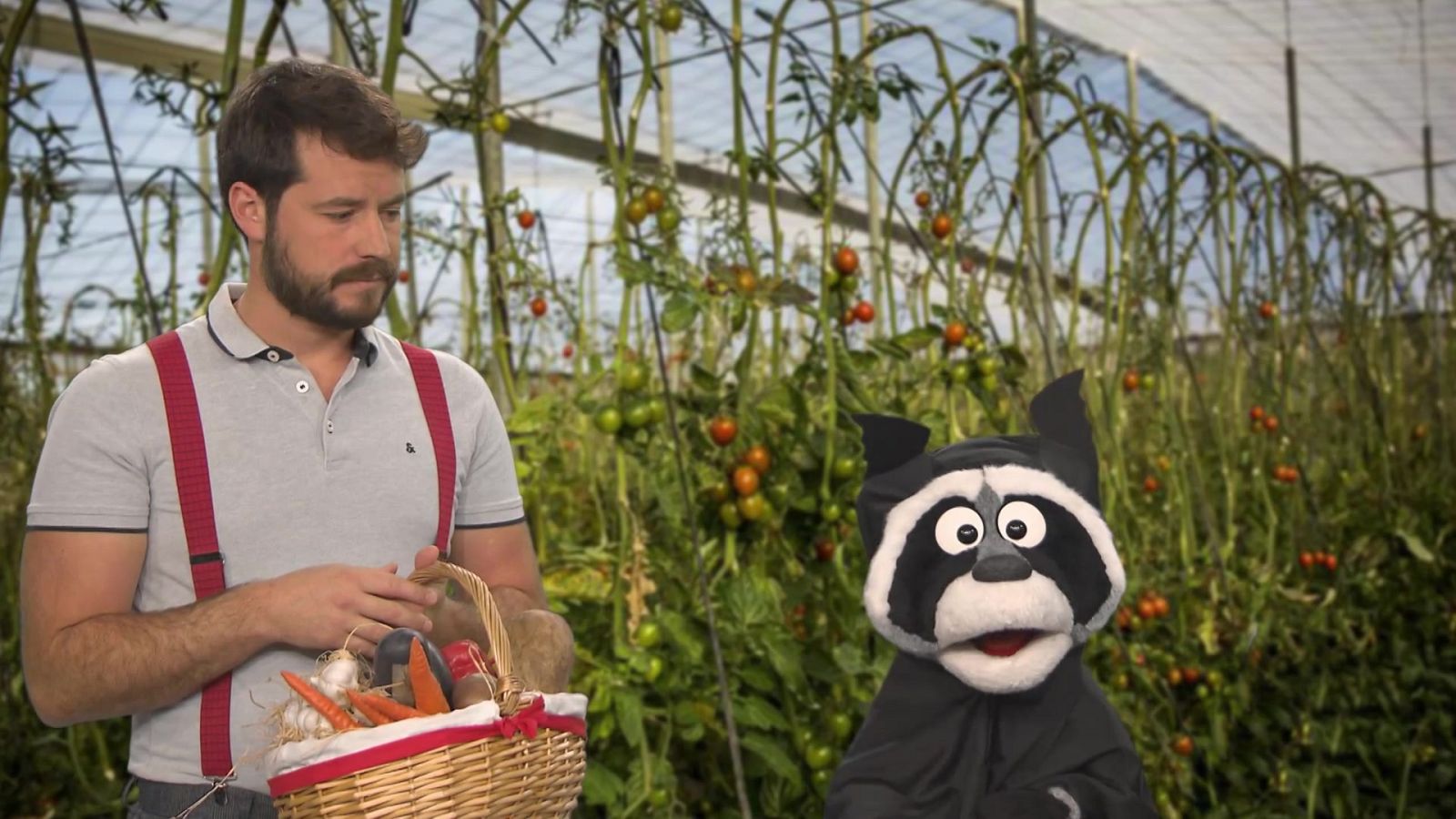 ¡Murcia, qué mapacha eres! - Aprendemos en Clan | Ver