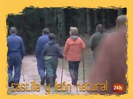 Natural - Cibernatural