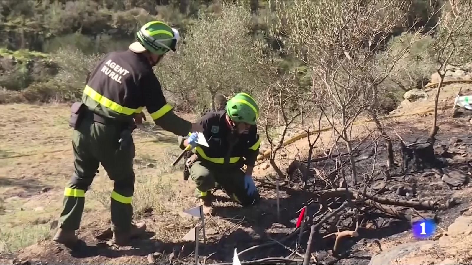 Els Agents Rurals investiguen les causes del foc - veure ara