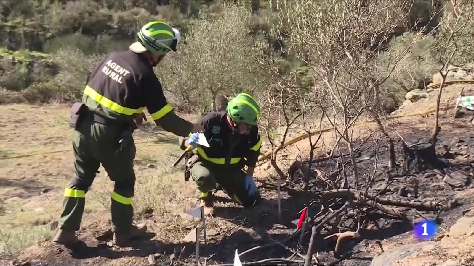 Els Agents Rurals investiguen les causes del foc