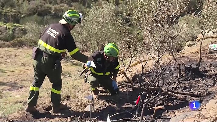 Els Agents Rurals investiguen les causes del foc