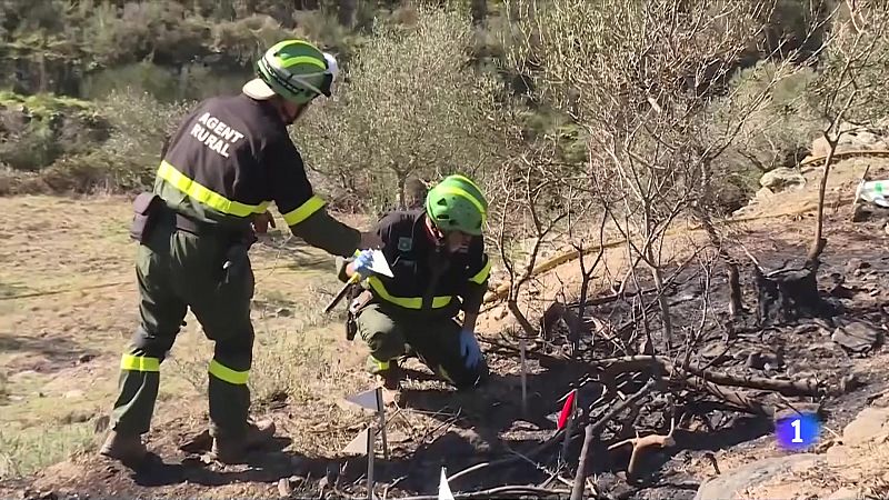 Els Agents Rurals investiguen les causes del foc - veure ara