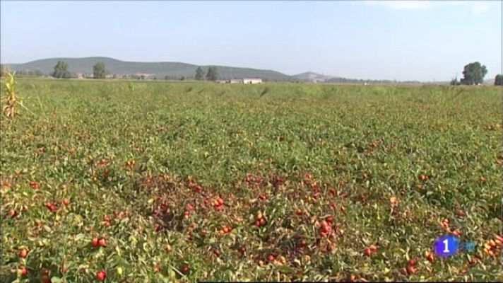 Repercusión del SMI en el campo