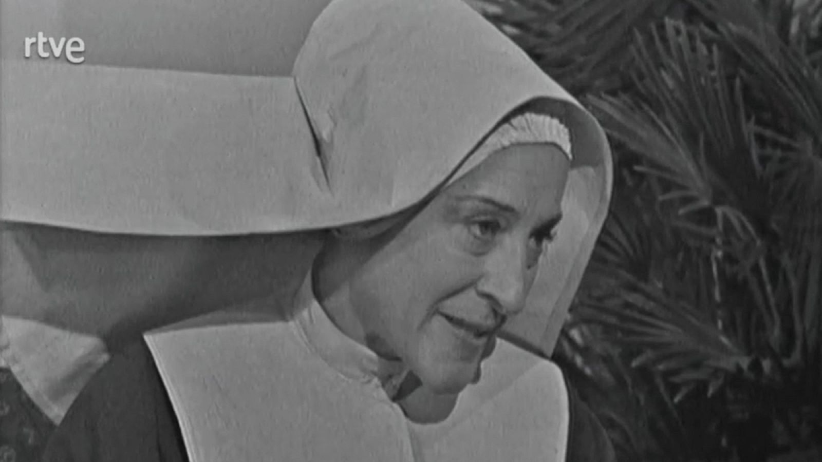 Madre Alegría - Capítulo 3 - Madre Alegría | Ver