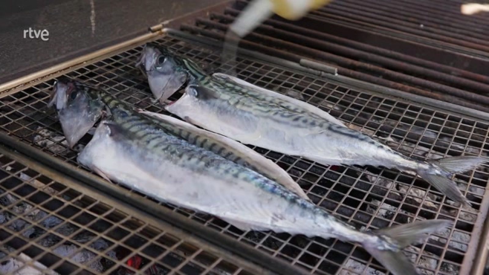 Aquí la Tierra - El verdel, del mar a la parrilla