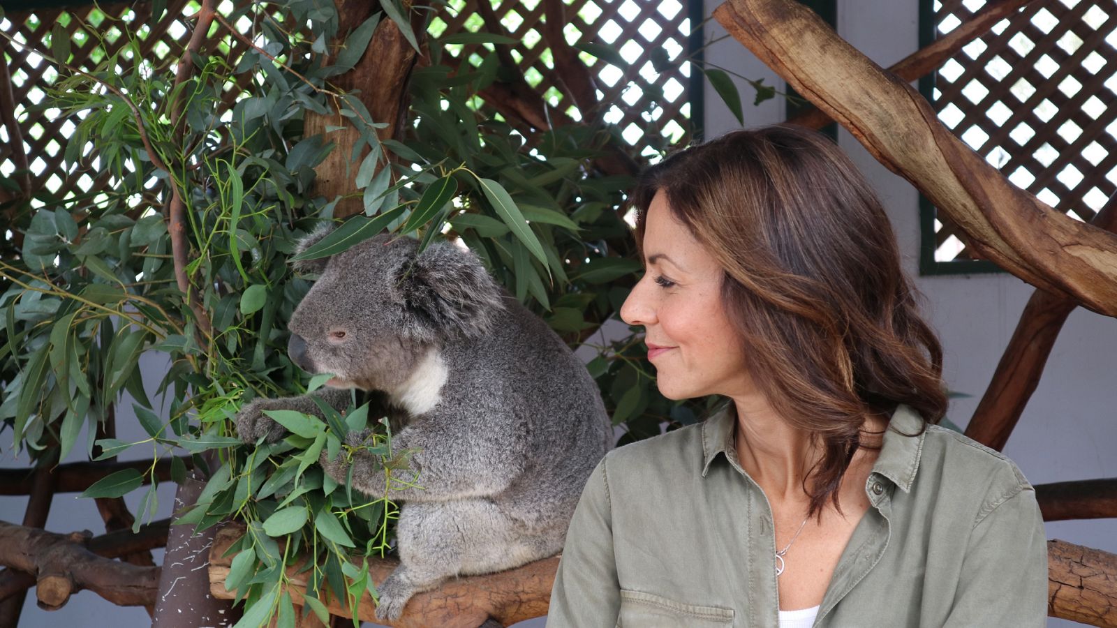 Australia con Julia Bradbury - Episodio 2: Montes azules - Documental en RTVE