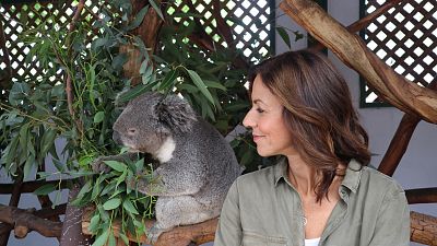 Australia con Julia Bradbury - Episodio 2: Montes azules - ver ahora