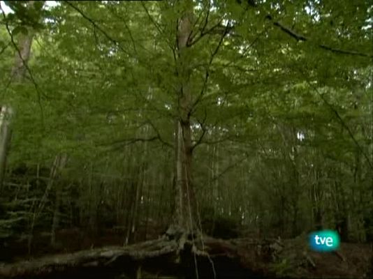 Metrópolis - Saatchi y Saatchi 2009