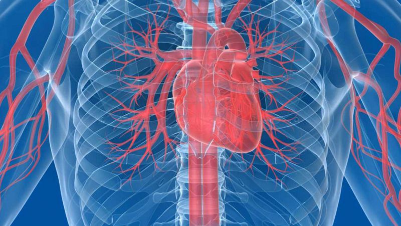 Las claves para reducir el riesgo cardiovascular