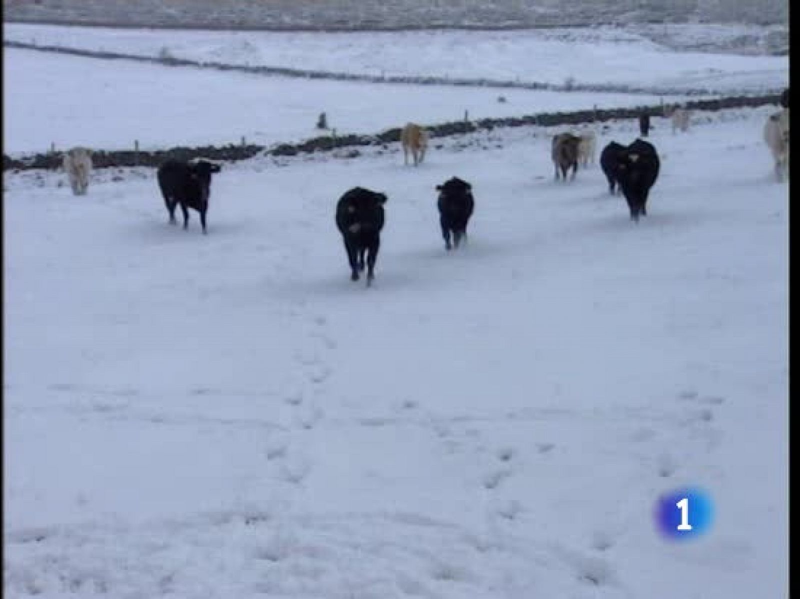 Nieve, lluvia, viento...