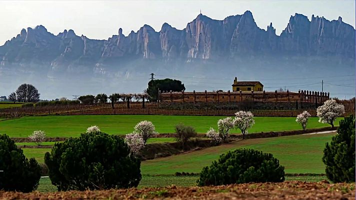 El tiempo - Las temperaturas máximas bajan en el Mediterráneo y Baleares y suben en el resto de la Península, Ceuta y Melilla. Las mínimas bajan salvo en Canarias